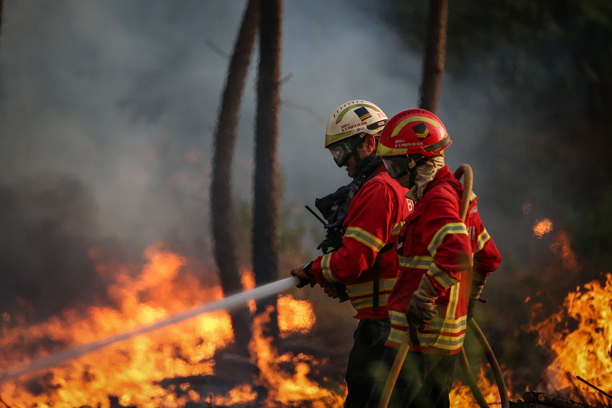 Já arderam mais de 50 mil hectares de floresta e matos em Portugal em 2020 – Expresso