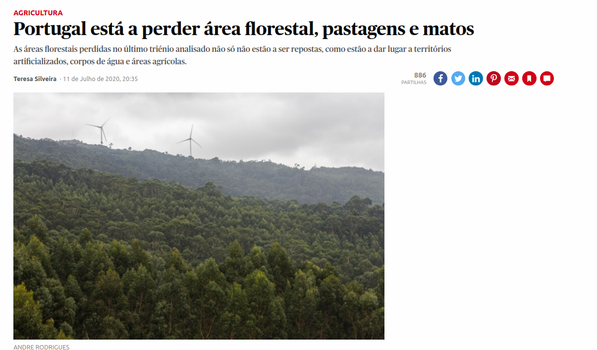 Portugal está a perder área florestal, pastagens e matos – Público